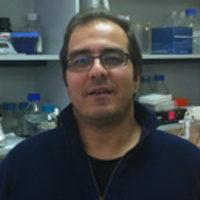 Pantelis Hatzis